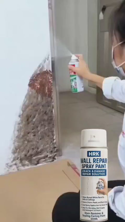 Wall Repair Spray Paint 500ML